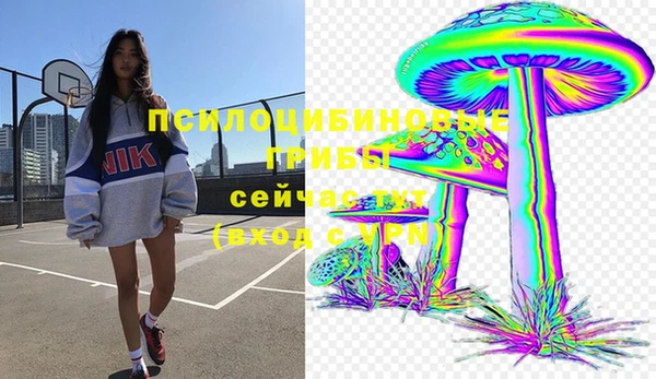 хмурый Лиски