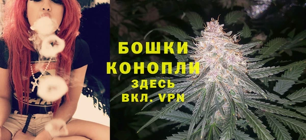 хмурый Лиски