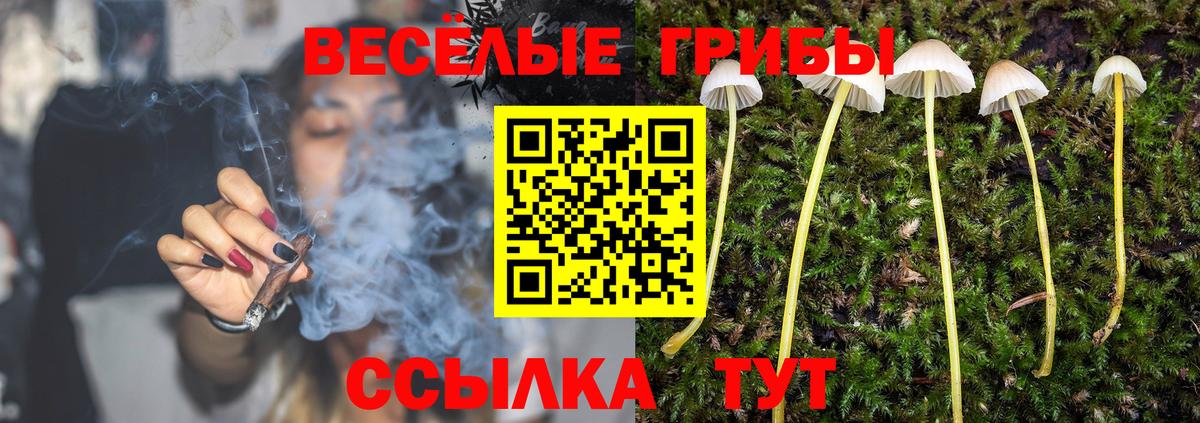 Петрозаводск  Псилоцибиновые грибы ЛСД  Вход с VPN 