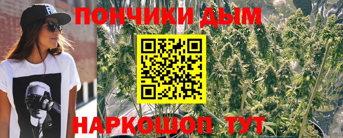 Бошки Шишки сатива Петрозаводск